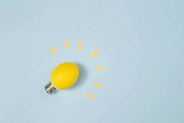 گربه‌تان با این 10 اسباب‌بازی سرگرم می‌شود و جایگزین‌های جالب